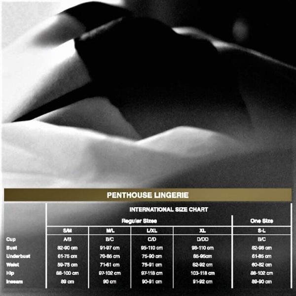 PENTHOUSE THONG – penthouse - atviro paslapčio kelnės rožinė l/xl - Image 3