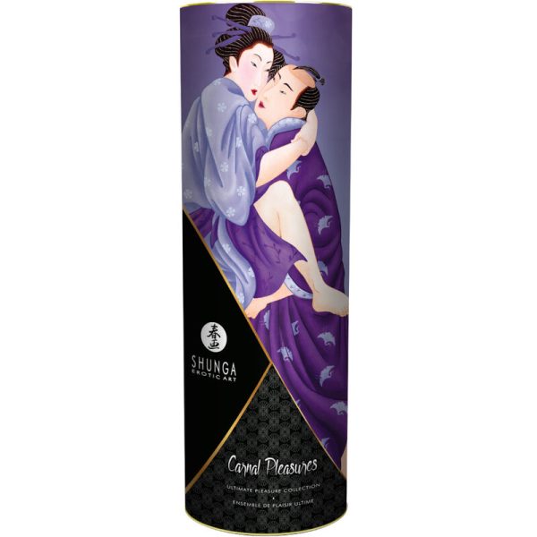 SHUNGA KITS – shunga - karnalų malonumų rinkinys - Image 2