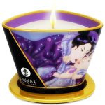 SHUNGA - MINI CARESS MASAŽO ŽVAKĖ 170 ML