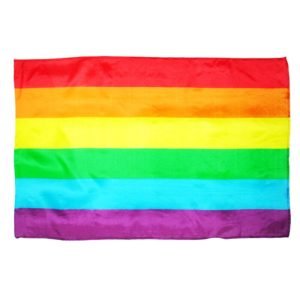 PRIDE - Didelė LGBT vėliava