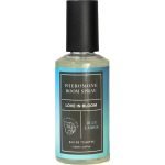 EYE OF LOVE - Indica Blue Ember kambario purškalas 150 ml