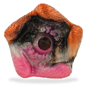 EPIC Telemus Cyclops masturbatorius