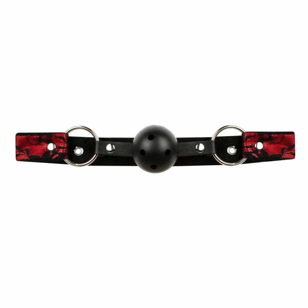 Bedroom Fantasies 8 dalių nėrinių ir odos imitacijos bondage rinkinys, - Image 6