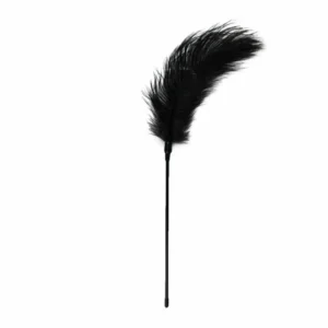 Easytoys Black Feather Sensation Teaser