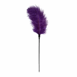 Easytoys Feather Tickler Purple, 27 cm