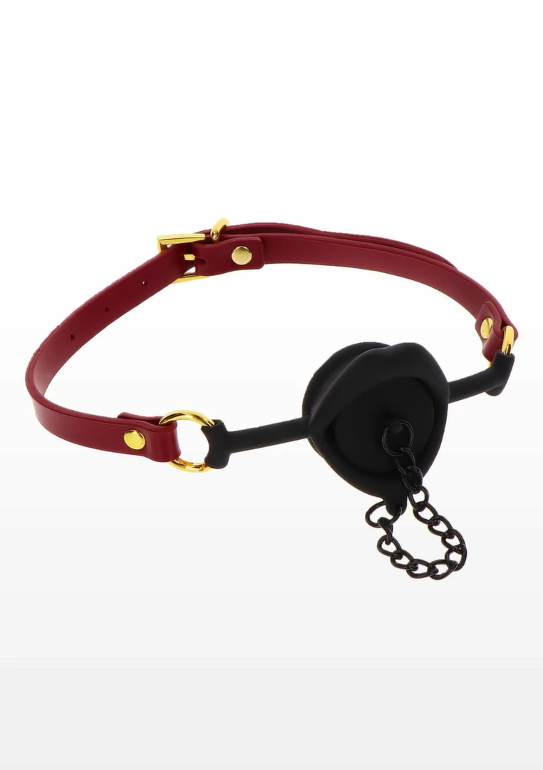 Taboom Kinky Gag su nuimamu kištuku - Image 4