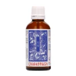 Pharmquests by Shots China Brush XL intymus serumas, 50 ml